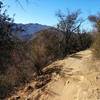 Sandstone peak as seen from Los Robles trail.