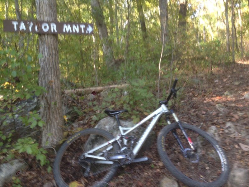 Bottom of Taylor Mountain Trail.  Taylor Mtn is to the right; Cascade Trail is to the left.