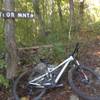 Bottom of Taylor Mountain Trail.  Taylor Mtn is to the right; Cascade Trail is to the left.