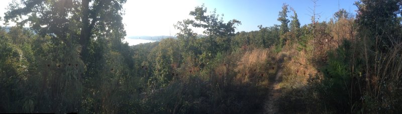 View of Lake Guntersville from Butler Pass Trail.