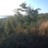 View of Lake Guntersville from Butler Pass Trail.