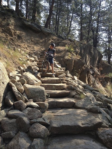 Some amazingly fancy stone stairs on a short section of the Fourmile Link