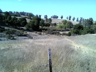 After the start looking back towards the Arastradero Loop trailhead.