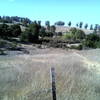 After the start looking back towards the Arastradero Loop trailhead.