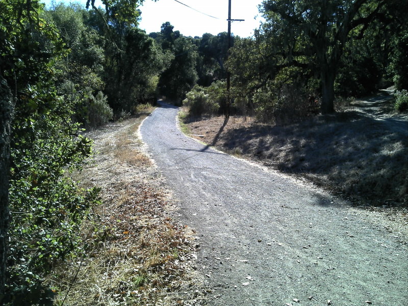 Wide open trail by a small lake. On Arastradero