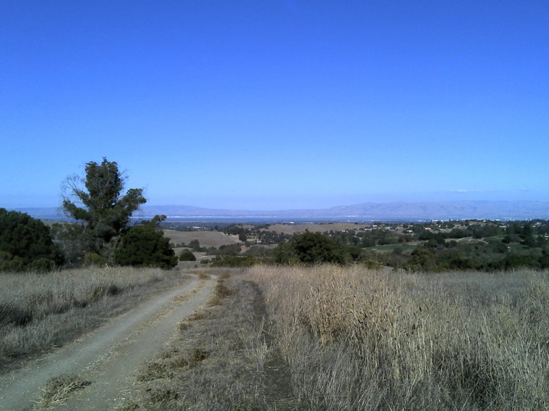 The view from the top of the Arastradero Loop!! After here its down hill, watch for peds and horses!
