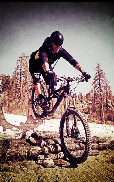 Downed tree across the trail. What to do? Ride over. Makes Happiness.