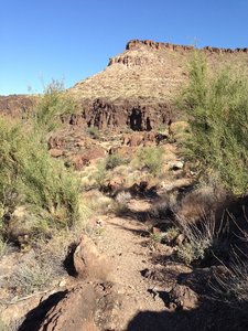 Where the Tech Ridge trail tightens
