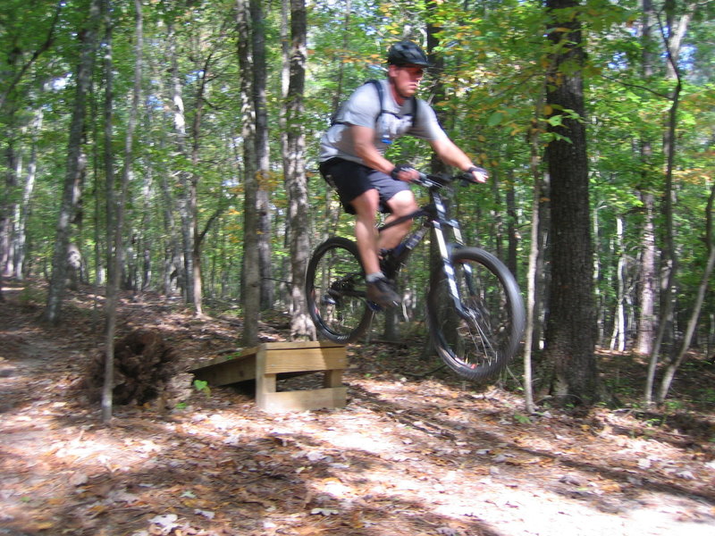 A small wooden jump on the Upper Section - Intermediate trail