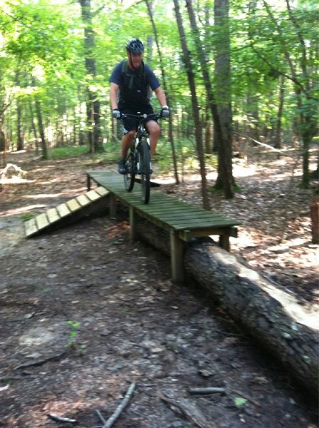 Ladder bridge with log skinny