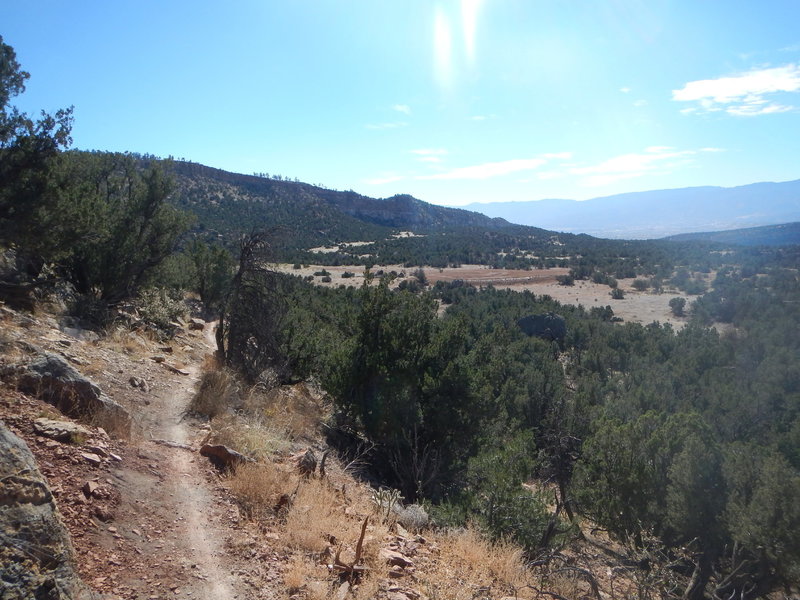 Facing south on the Ms. Spike Trail