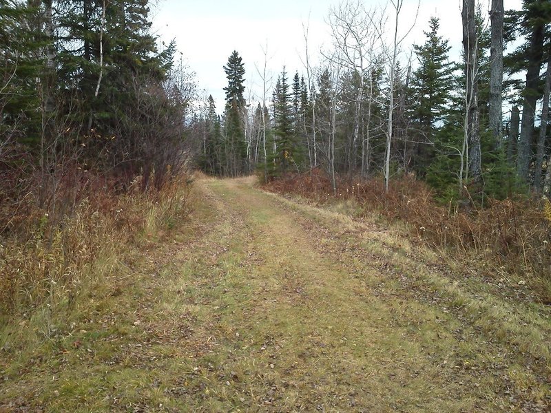 Grassy trail that leads into Rock and a Hard Place