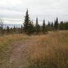 The excellent views of Lake Superior from the ridge top meadow.