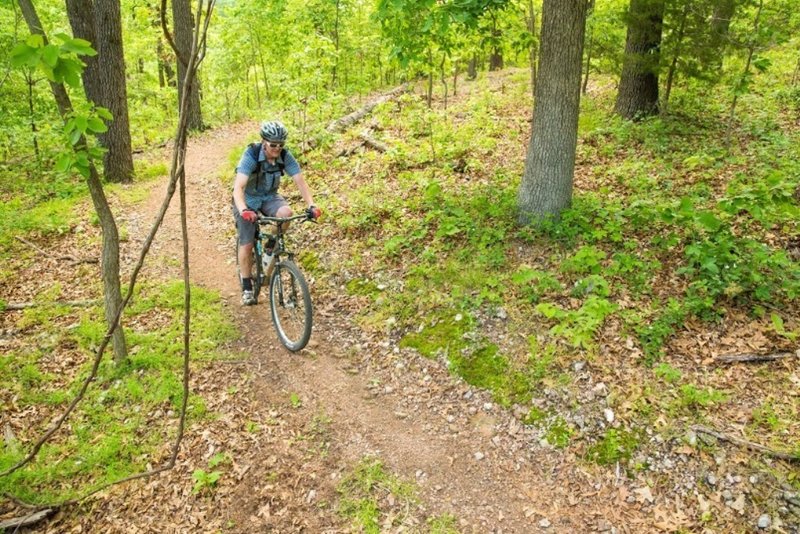 Keeping an eye on this hand-cut singletrack!  On Dutton Hollow Loop