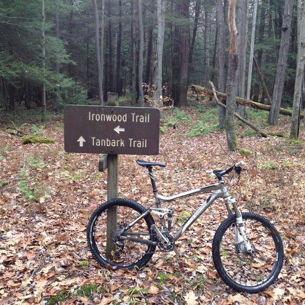 The intersection at the far end of Tanbark Trail.