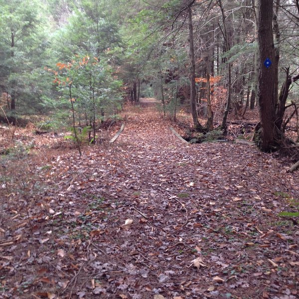 Typical view down the rail grade. On Ironwood Trail