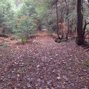 Typical view down the rail grade. On Ironwood Trail