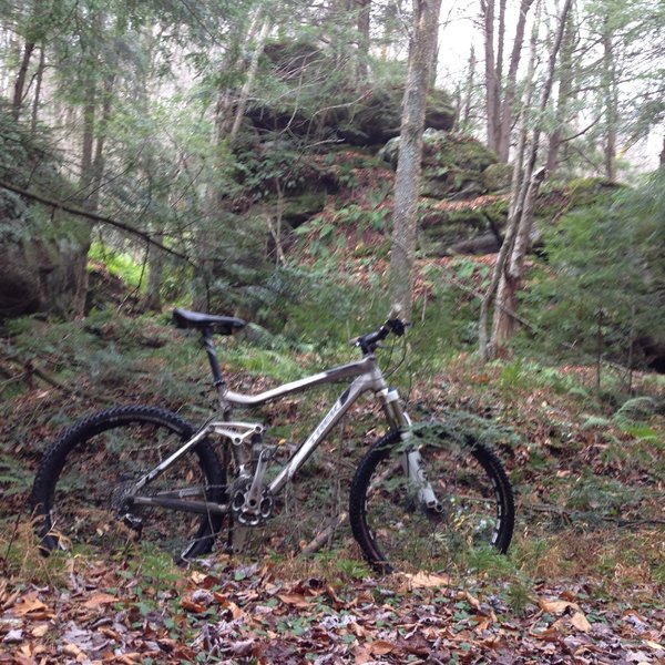 A couple of the house-sized boulders along the Tom's Run Trail.