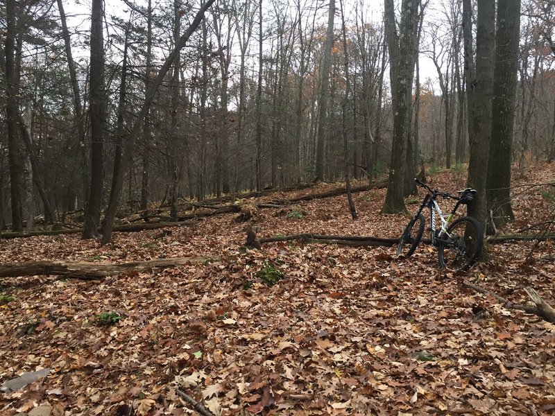 Intersection of Deer Path and the Red White Trail