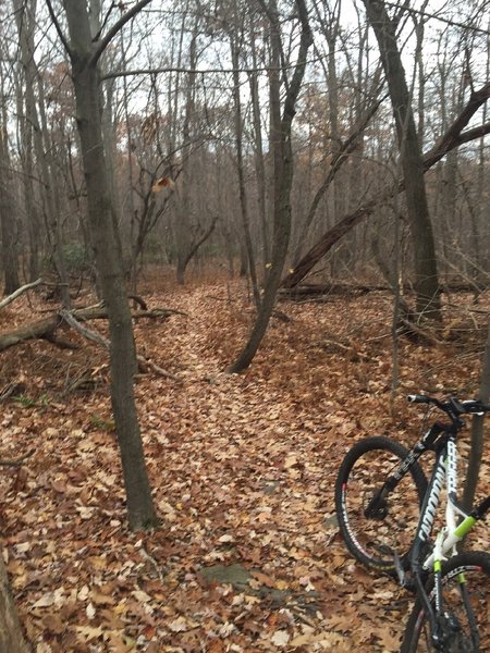 Head down the hill at the T intersection.  Musser Gap Link