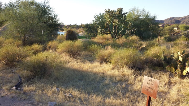 Lake Vista Gallery south from Tortolita Preserve Loop