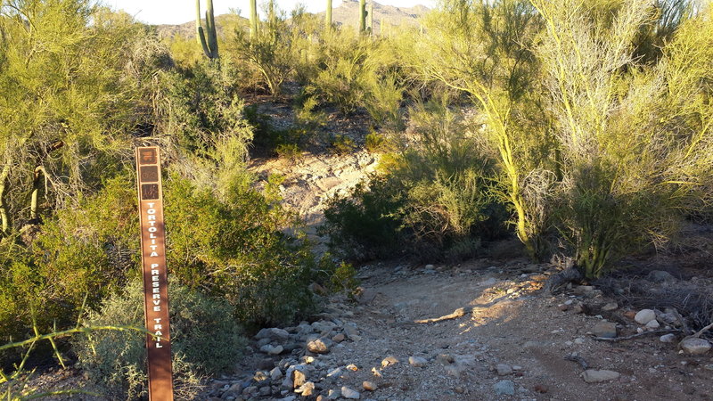 Steep crossing on Tortolita Preserve Loop