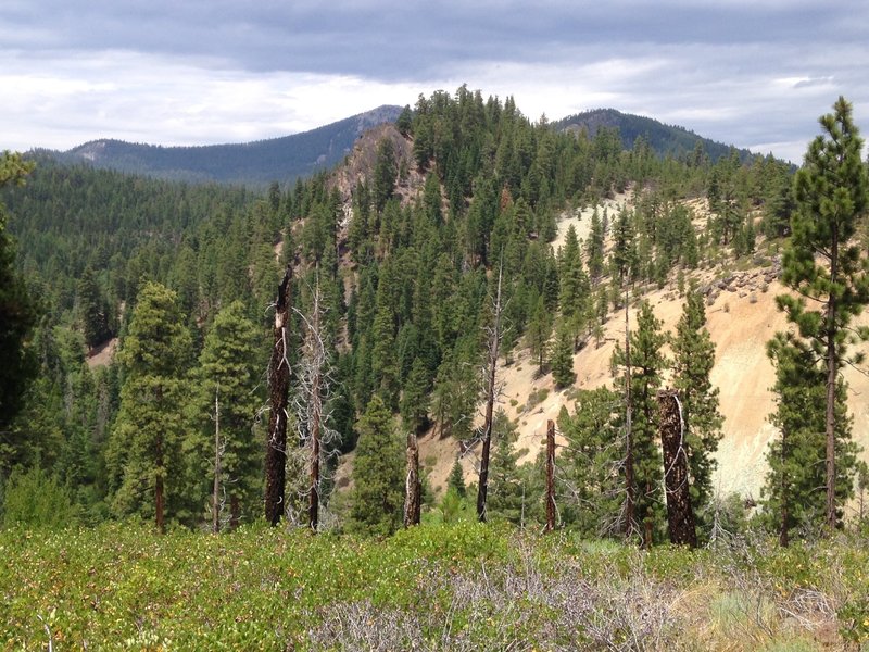 Taken from a bluff overlooking Cottonwood Creek with Cougar Peak in the background.