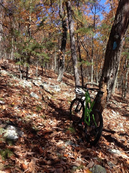 Miles of dry trail- on the North Fork Trail