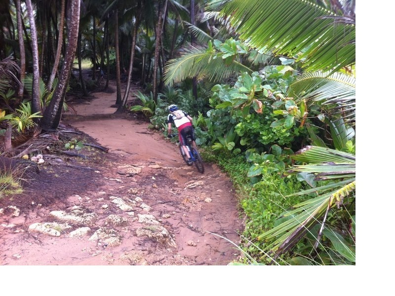 Some rocks on Cerro Gordo MTB Trail