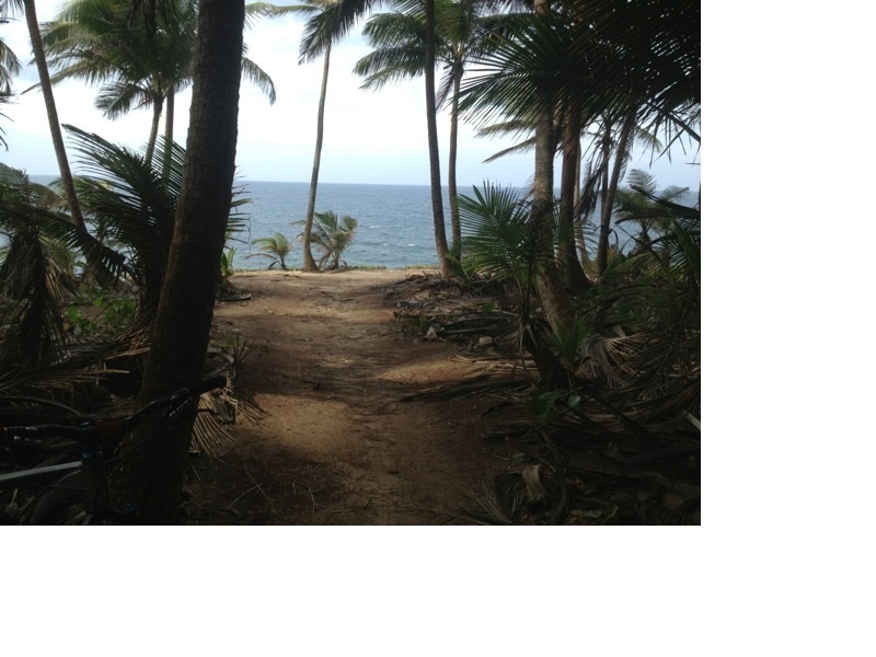 Another great view from Cerro Gordo MTB Trail