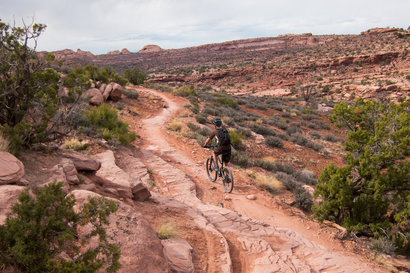 Some of the best sections of the entire trail are in this area.