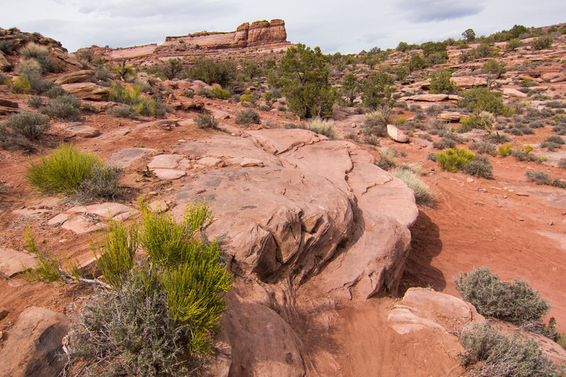 Despite the "singletrack signs", there are many lines to several ledges in this section.