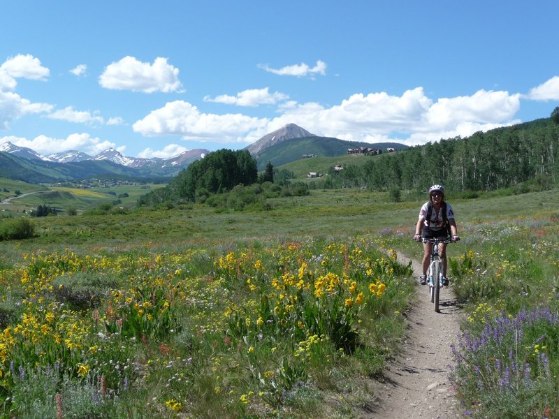 Riding Upper Loop with wildflowers