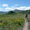 Riding Upper Loop with wildflowers