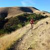 Wagon Wheel Trail Section, counter-clockwise