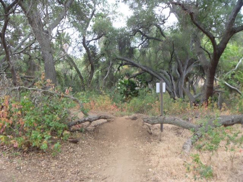 Upper easement trail.