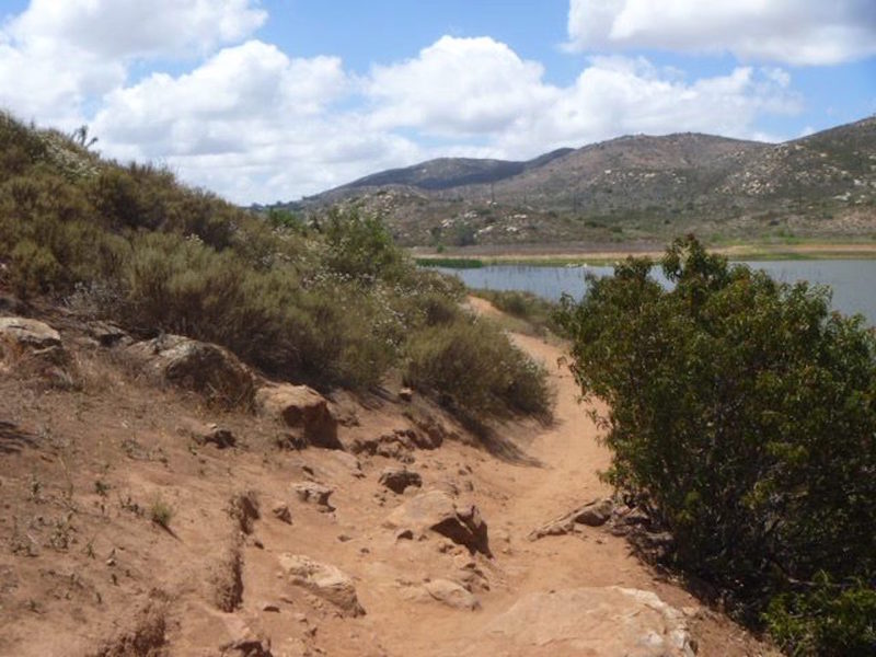 Rock patch on Piedras Pintadas Trail