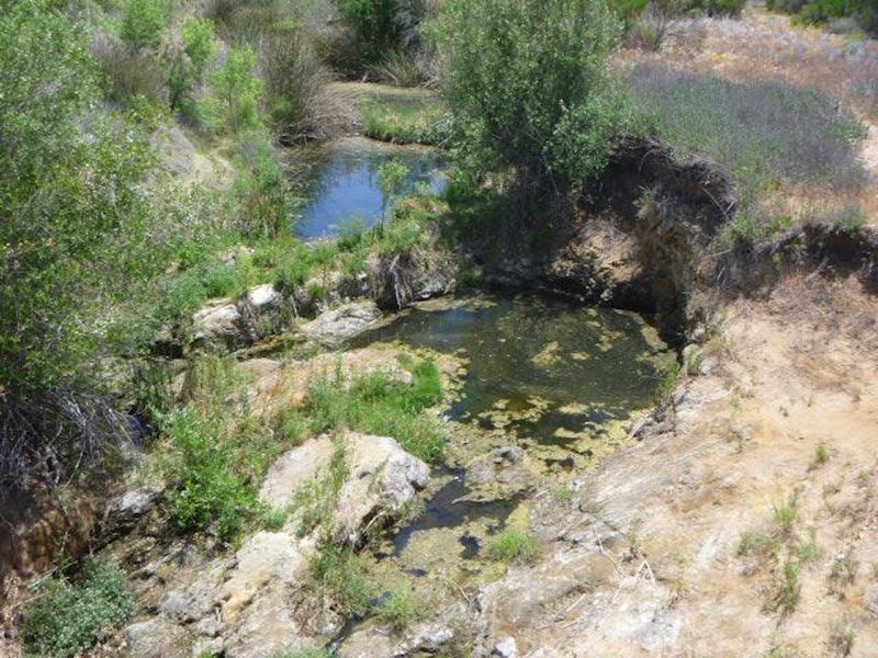 View of pond under bridge crossing.