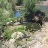 View of pond under bridge crossing.