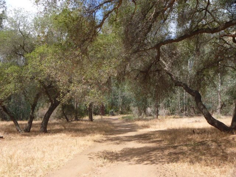 North Shore Lake Hodges Trail meadow.