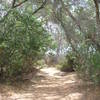 Lake Hodges from North Shore Trail