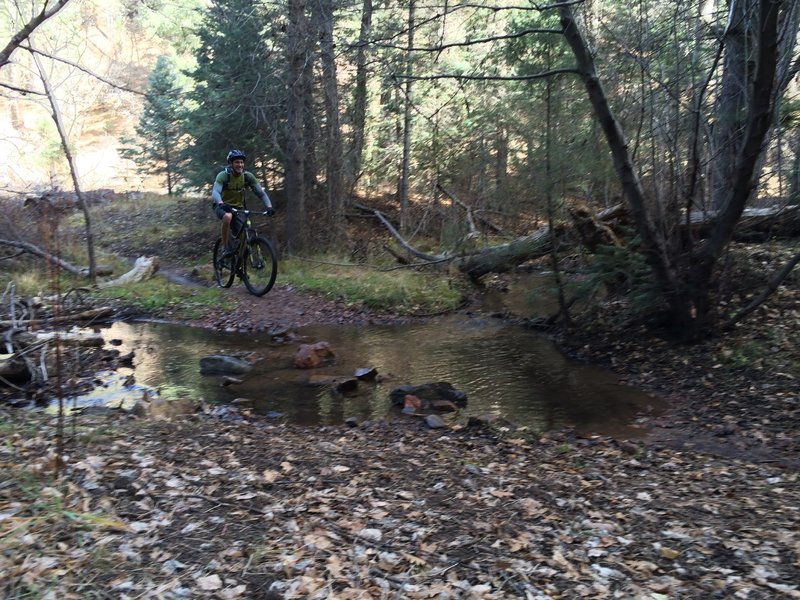 One of many creek crossings on Winsor Trail