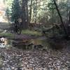 One of many creek crossings on Winsor Trail