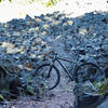 Going into the flow on Brown Mountain Trail