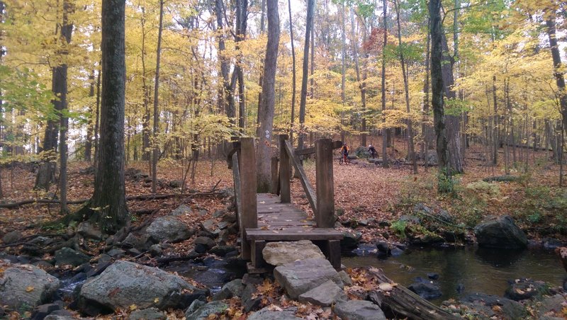 Bridge by the pond, narrow in the middle, so watch your bars.