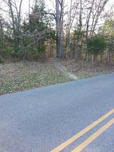 Entrance to blue loop from side of the road parking.