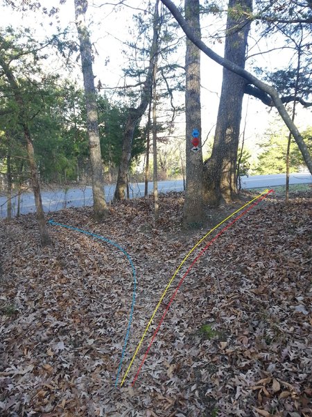 Beginning/Ending Blue Loop trail junction near side of the road parking.