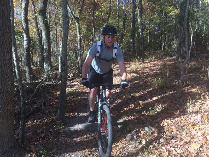 On a rooty section on Intermediate Loop near Harris Lake