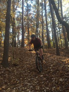 Harris Lake Hog Run trails full CCW loop Mountain Bike Trail