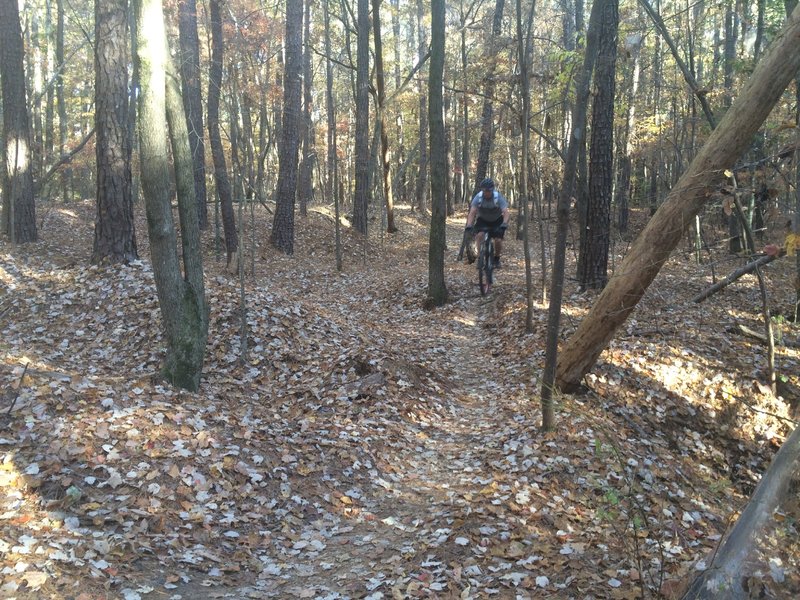 Riding a fun section of the Advanced Loop-West Section